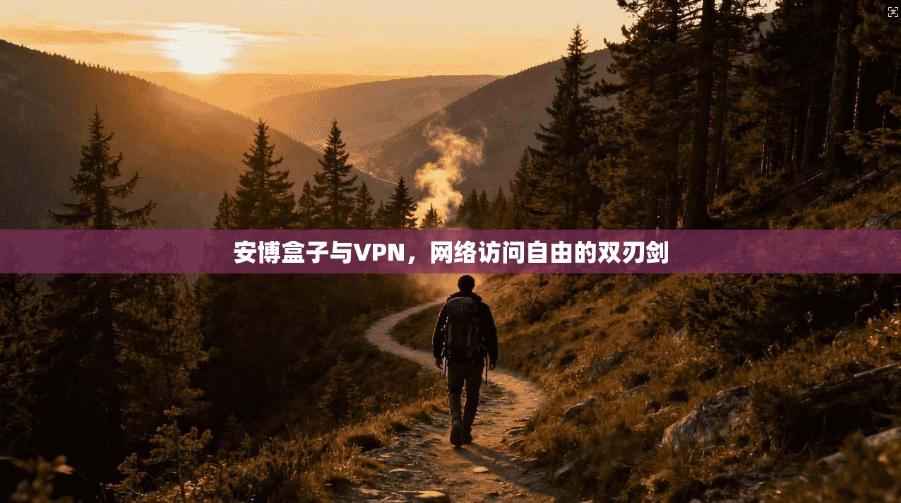 安博盒子与VPN,网络访问自由的双刃剑