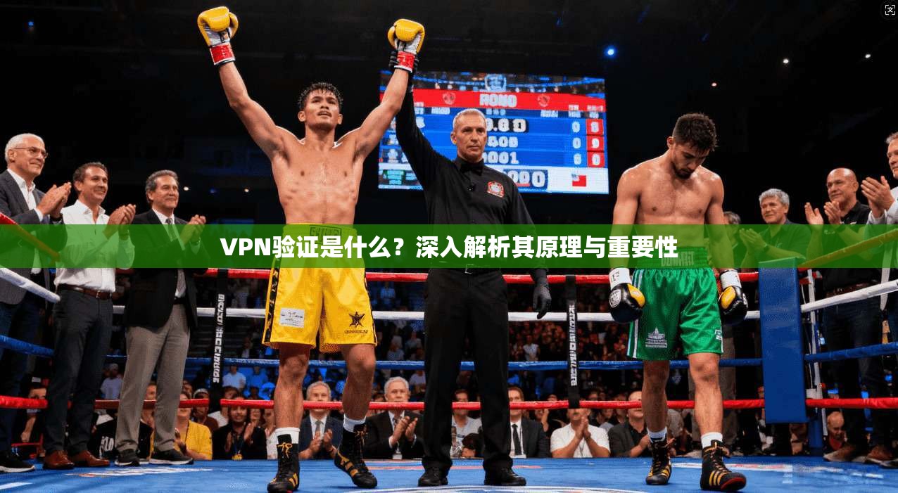 VPN验证是什么？深入解析其原理与重要性