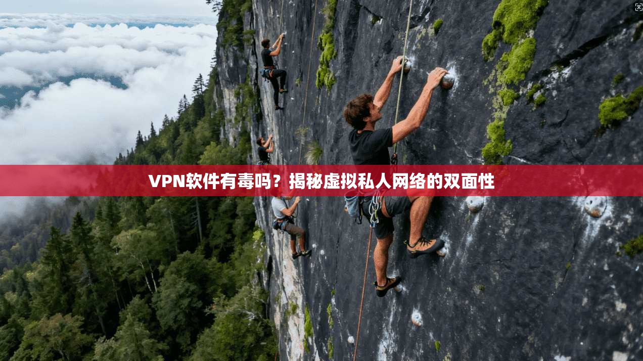 VPN软件有毒吗？揭秘虚拟私人网络的双面性