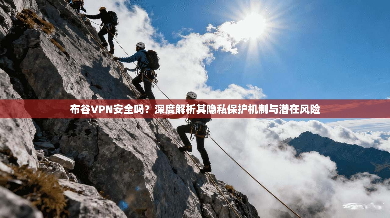 布谷VPN安全吗？深度解析其隐私保护机制与潜在风险