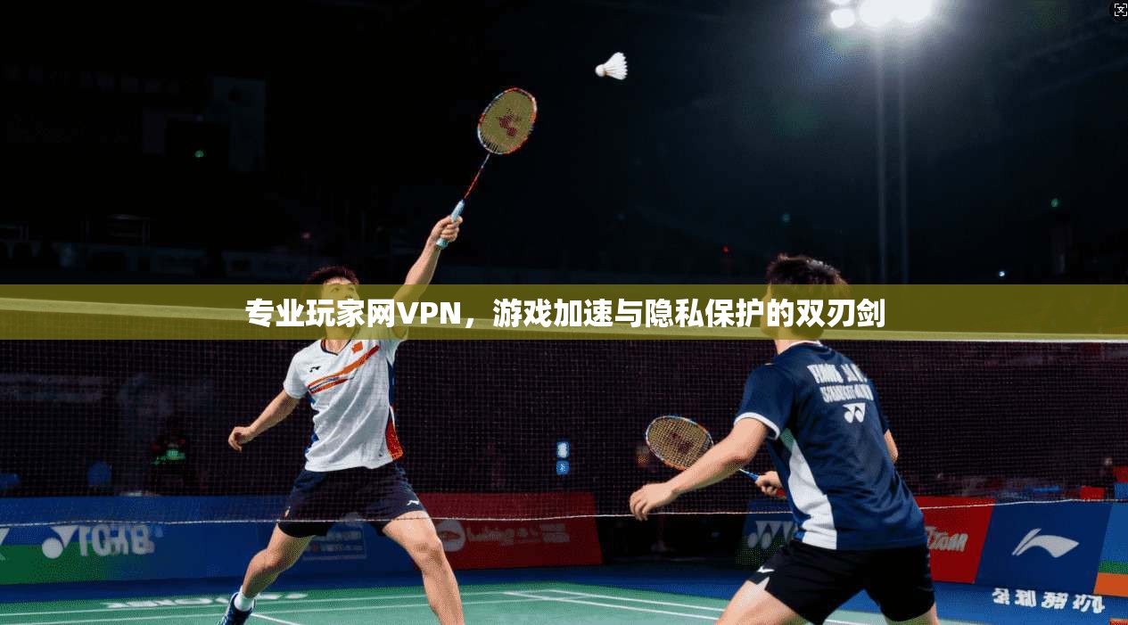 专业玩家网VPN,游戏加速与隐私保护的双刃剑