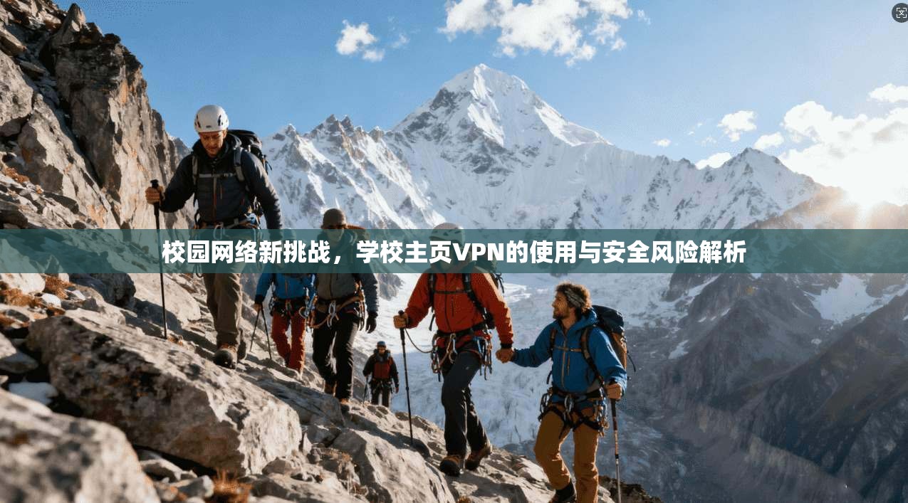 校园网络新挑战,学校主页VPN的使用与安全风险解析