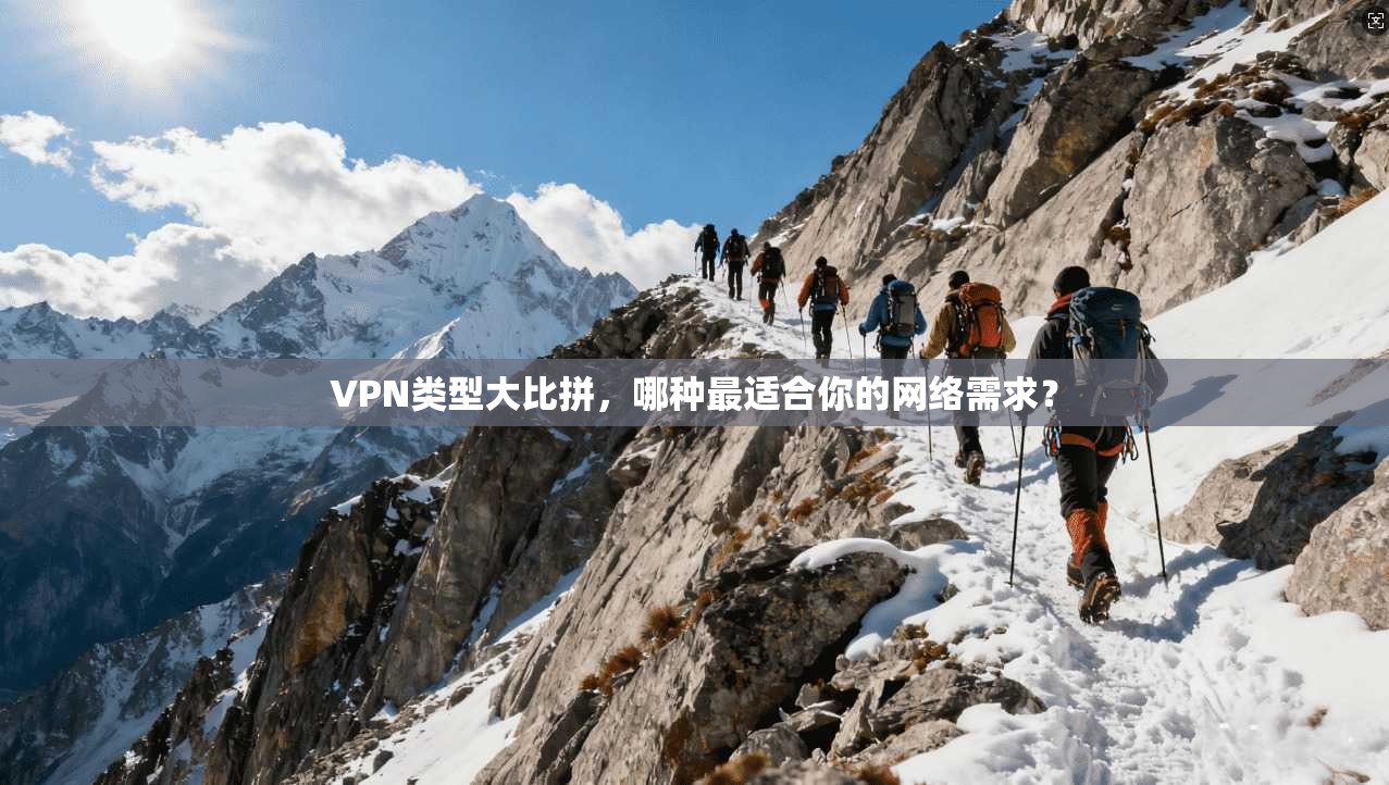 VPN类型大比拼,哪种最适合你的网络需求?