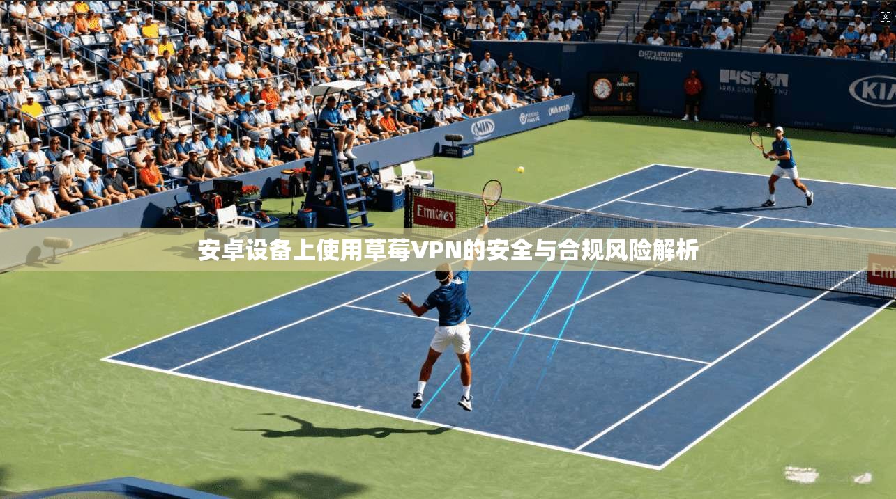 安卓设备上使用草莓VPN的安全与合规风险解析