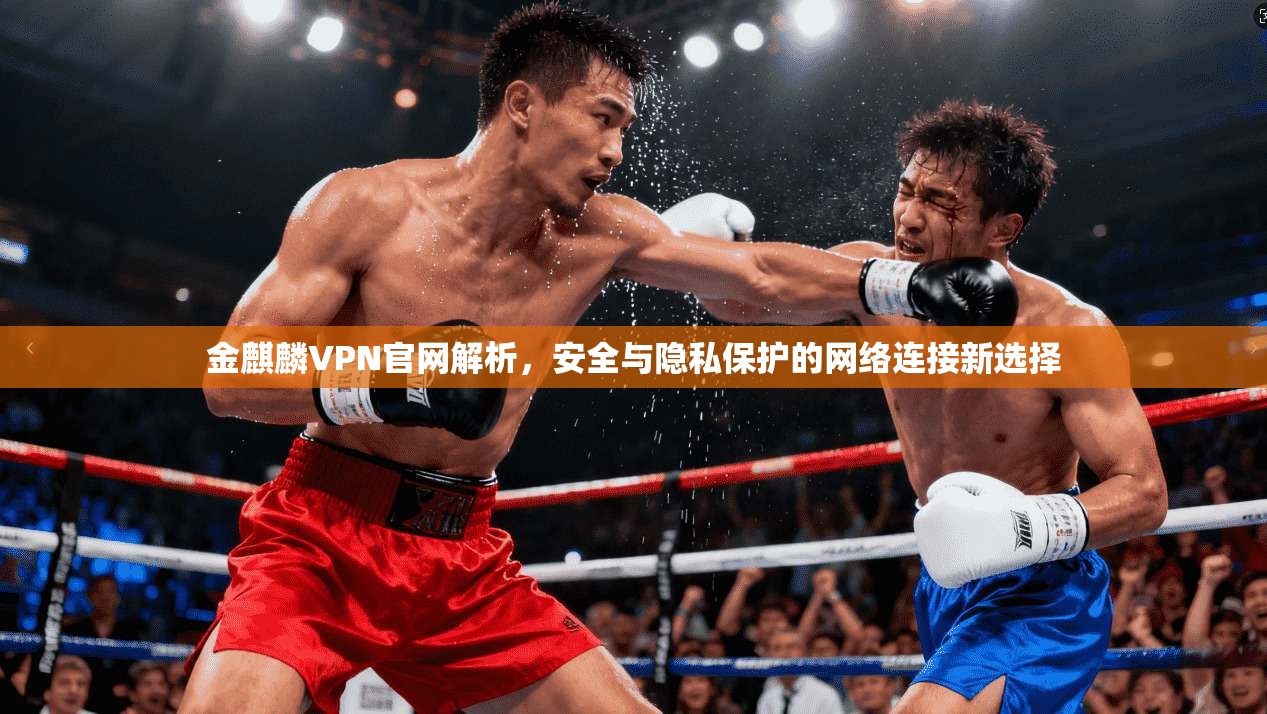 金麒麟VPN官网解析，安全与隐私保护的网络连接新选择
