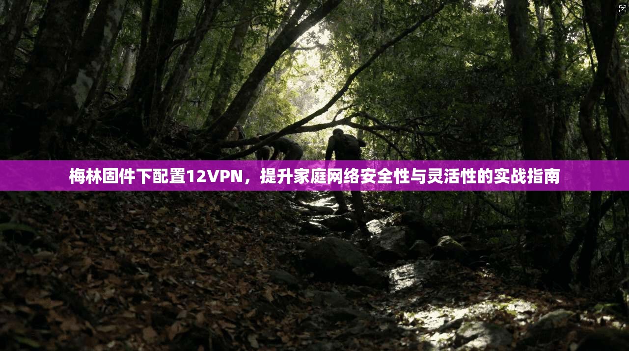 梅林固件下配置12VPN,提升家庭网络安全性与灵活性的实战指南