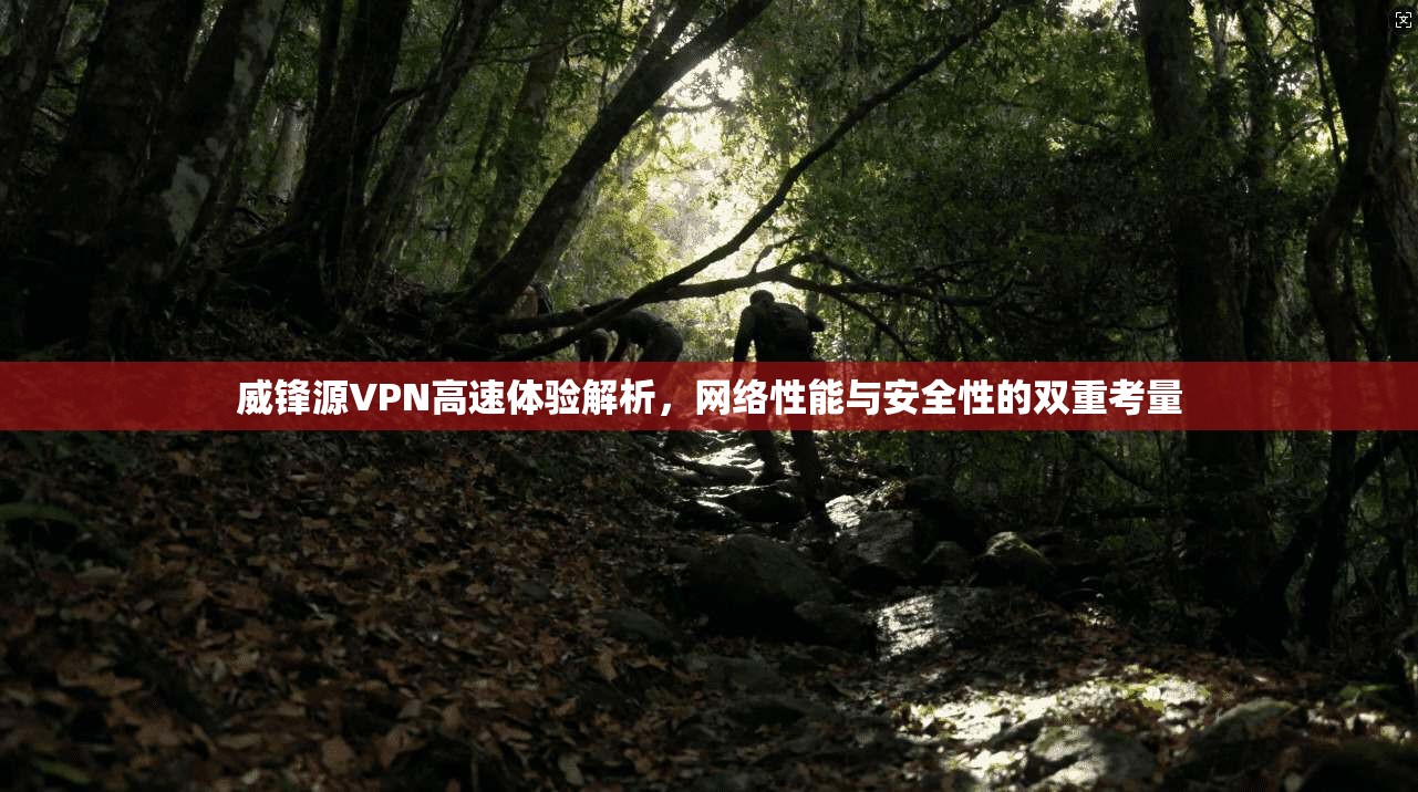 威锋源VPN高速体验解析,网络性能与安全性的双重考量
