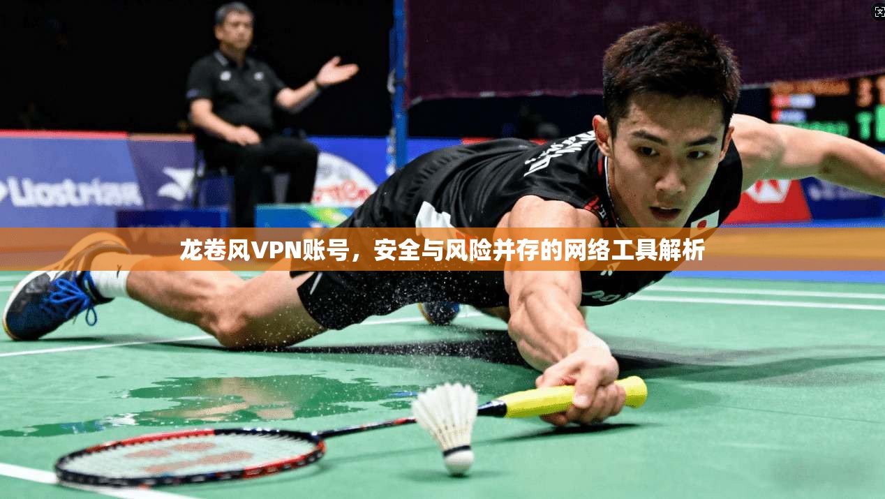 龙卷风VPN账号,安全与风险并存的网络工具解析 龙卷风VPN账号,安全与风险并存的网络工具解析