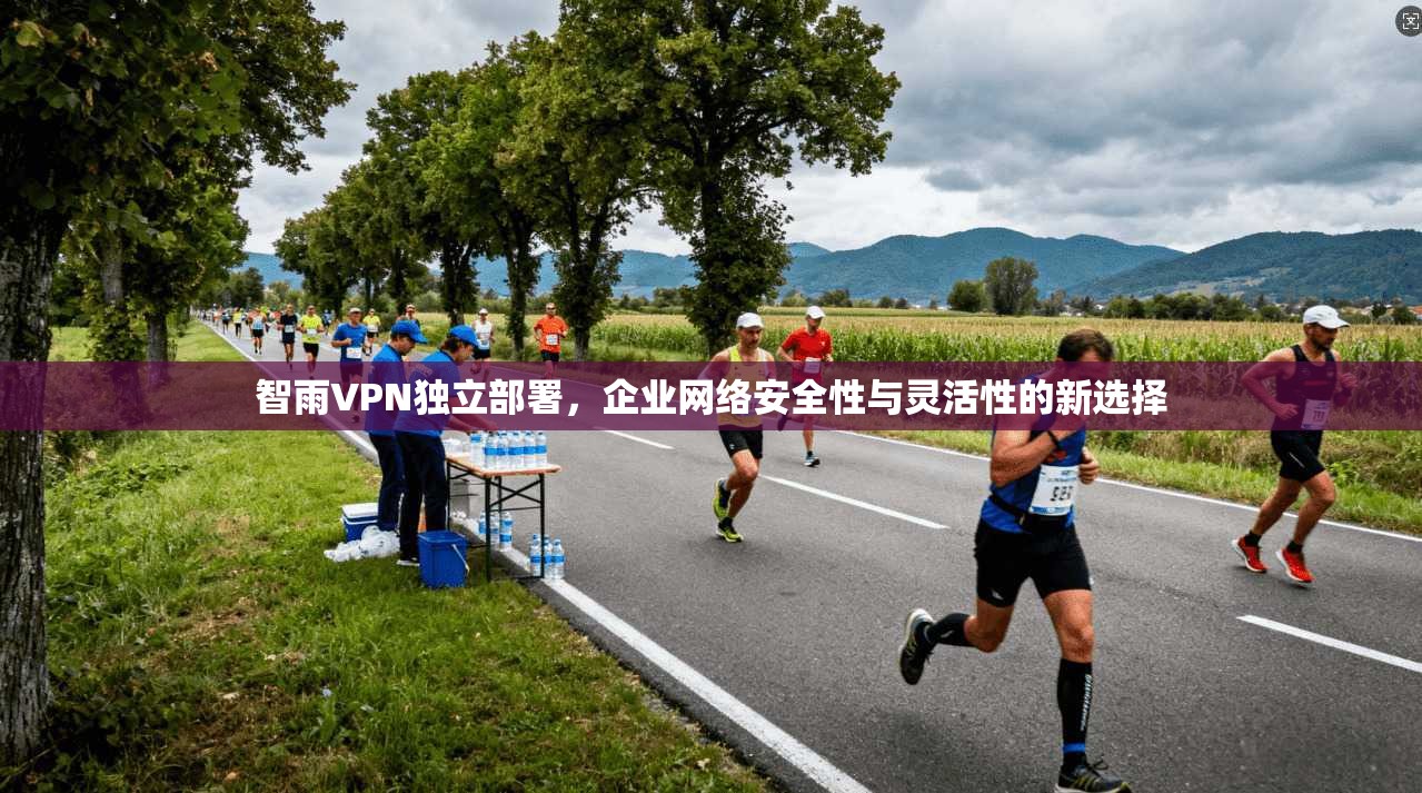 智雨VPN独立部署，企业网络安全性与灵活性的新选择