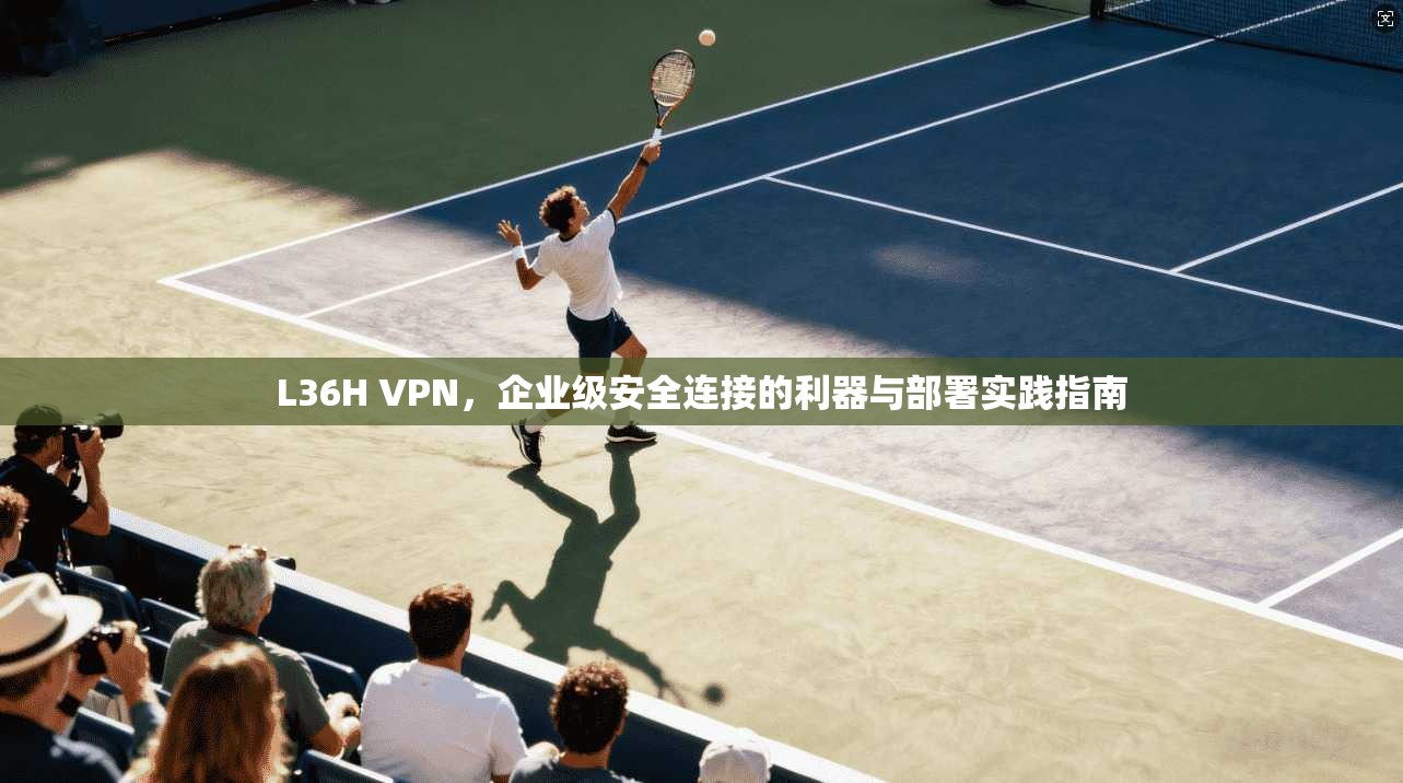 L36H VPN，企业级安全连接的利器与部署实践指南