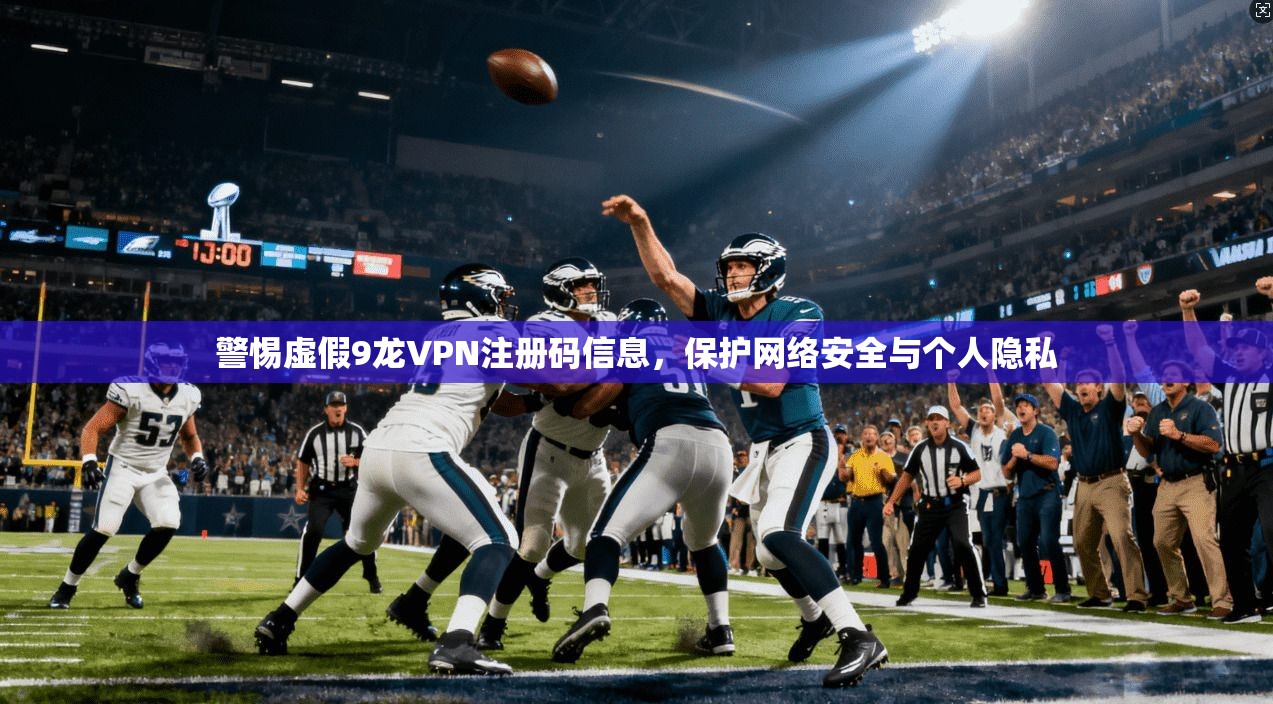 警惕虚假9龙VPN注册码信息,保护网络安全与个人隐私