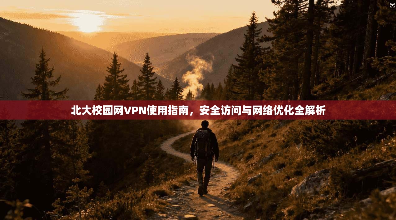 北大校园网VPN使用指南，安全访问与网络优化全解析