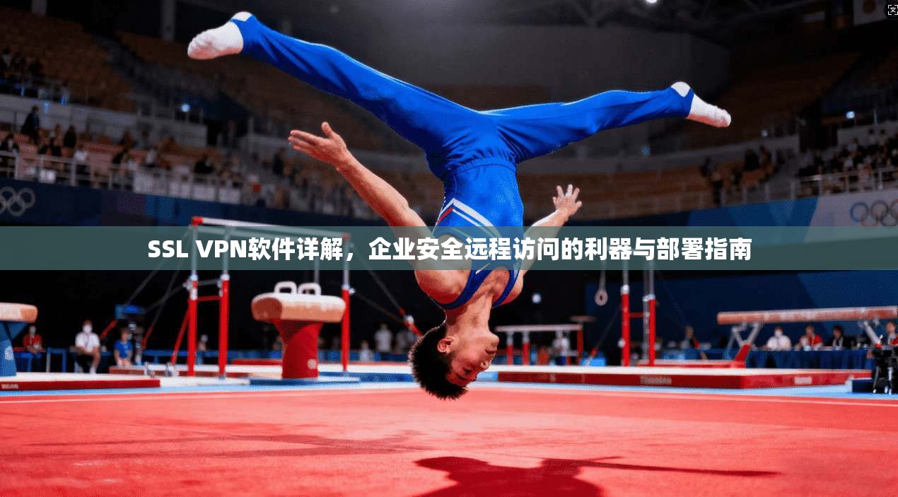 SSL VPN软件详解,企业安全远程访问的利器与部署指南