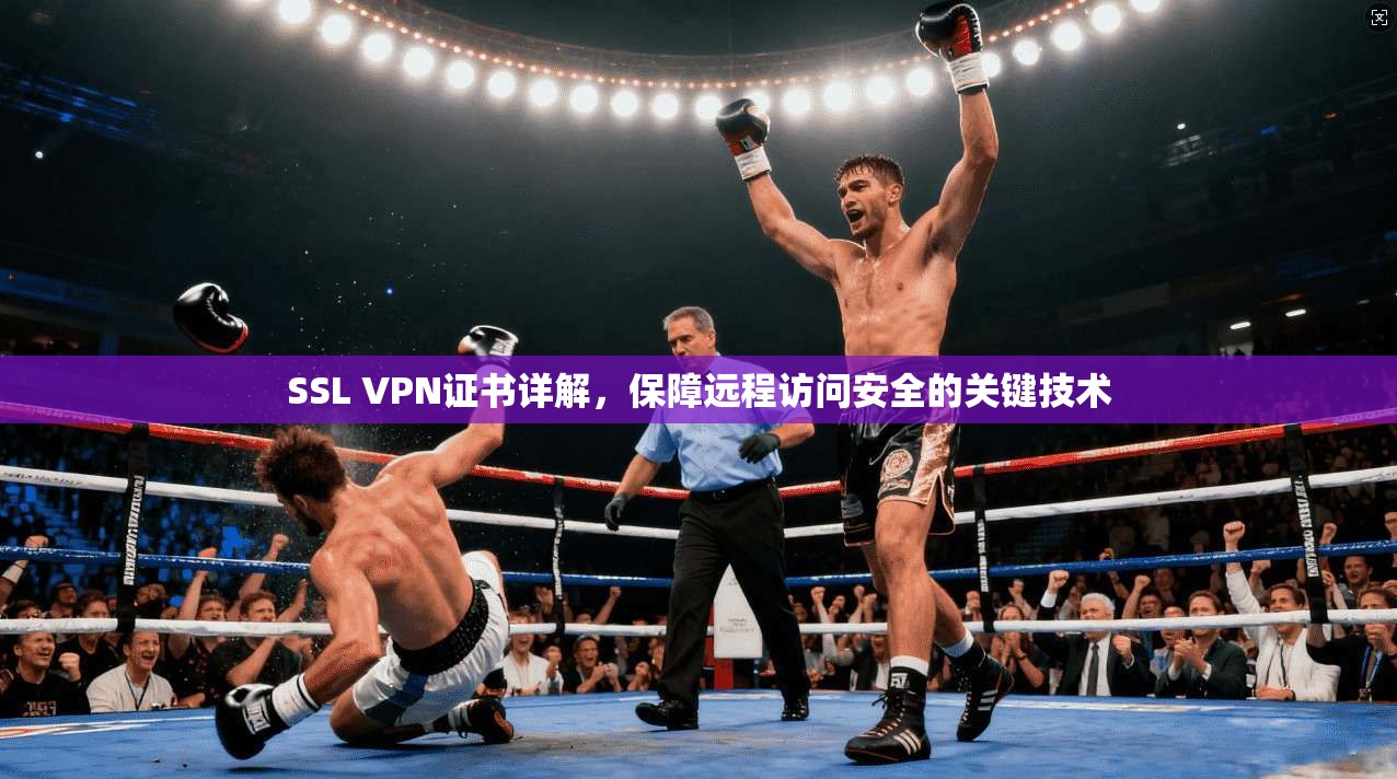 SSL VPN证书详解,保障远程访问安全的关键技术