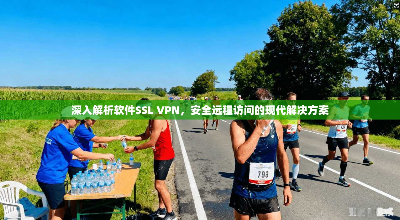 深入解析软件SSL VPN,安全远程访问的现代解决方案