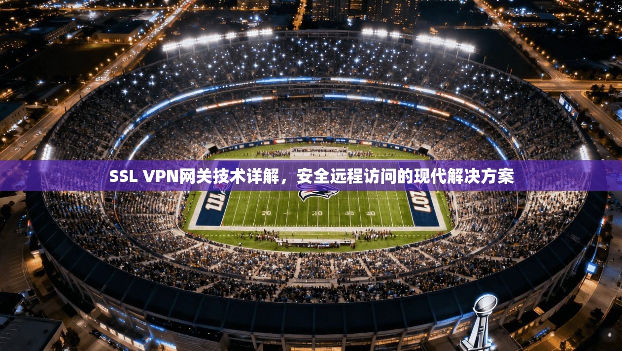 SSL VPN网关技术详解,安全远程访问的现代解决方案