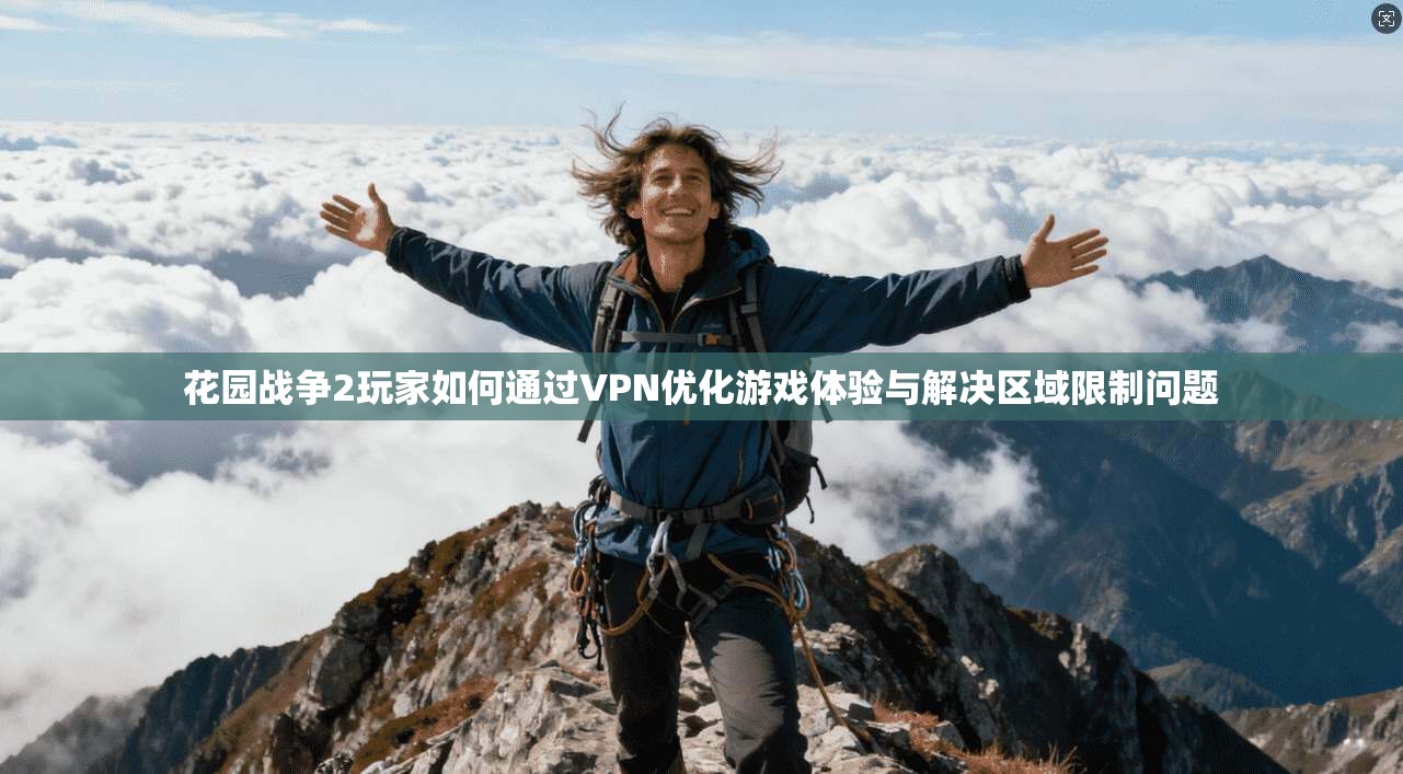 花园战争2玩家如何通过VPN优化游戏体验与解决区域限制问题