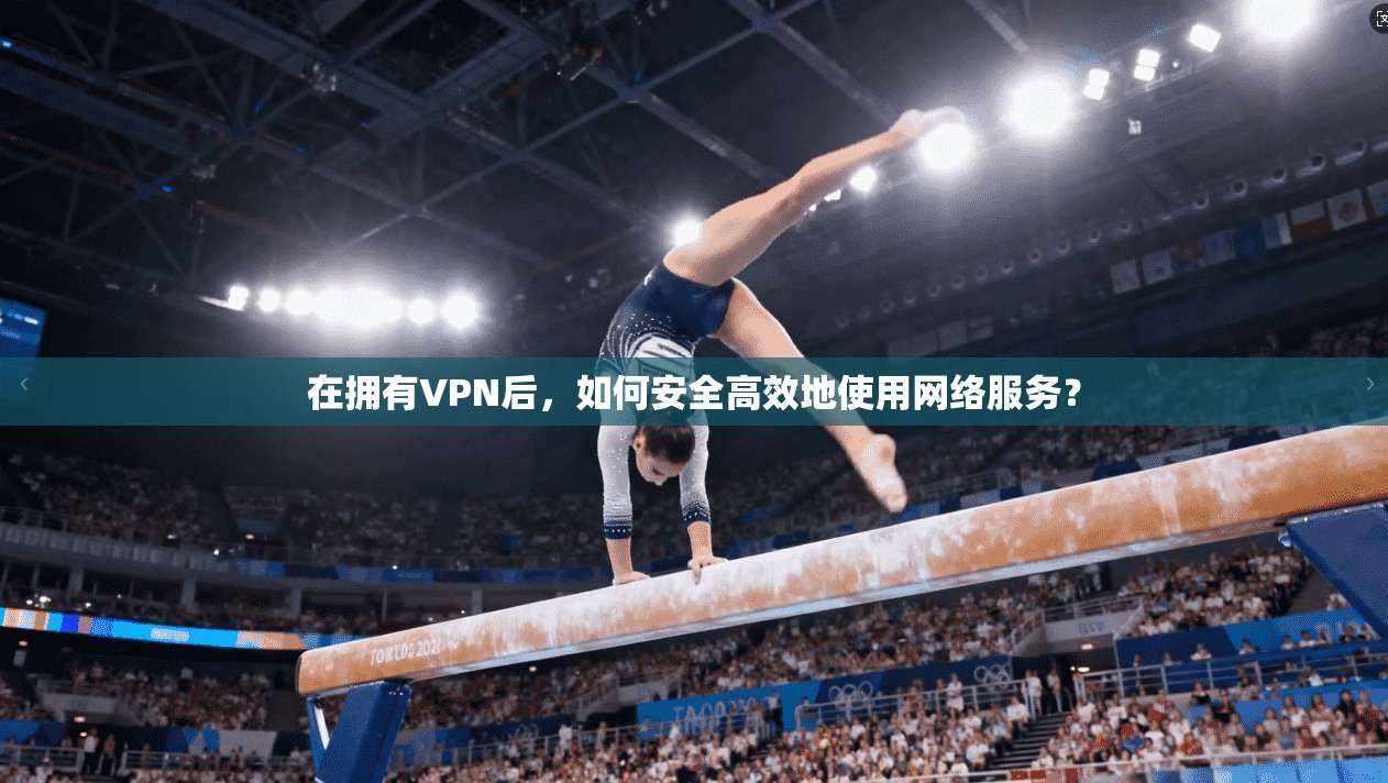 在拥有VPN后，如何安全高效地使用网络服务？
