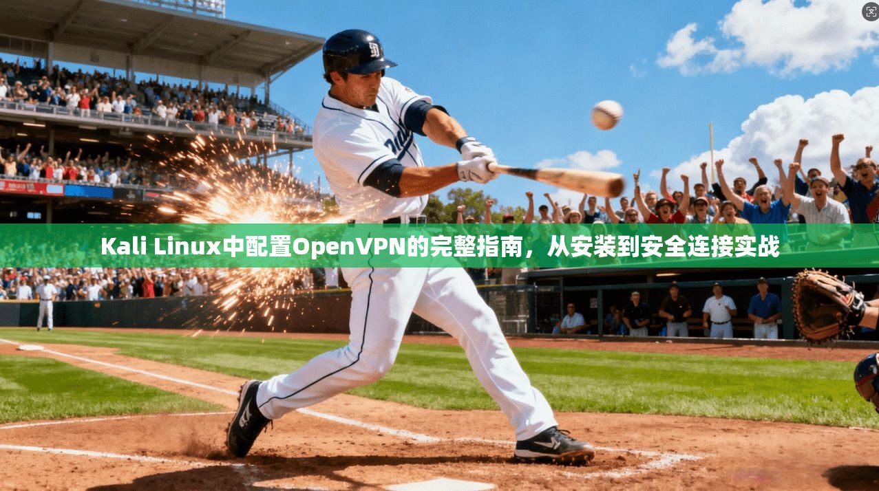 Kali Linux中配置OpenVPN的完整指南,从安装到安全连接实战 Kali Linux中配置OpenVPN的完整指南,从安装到安全连接实战