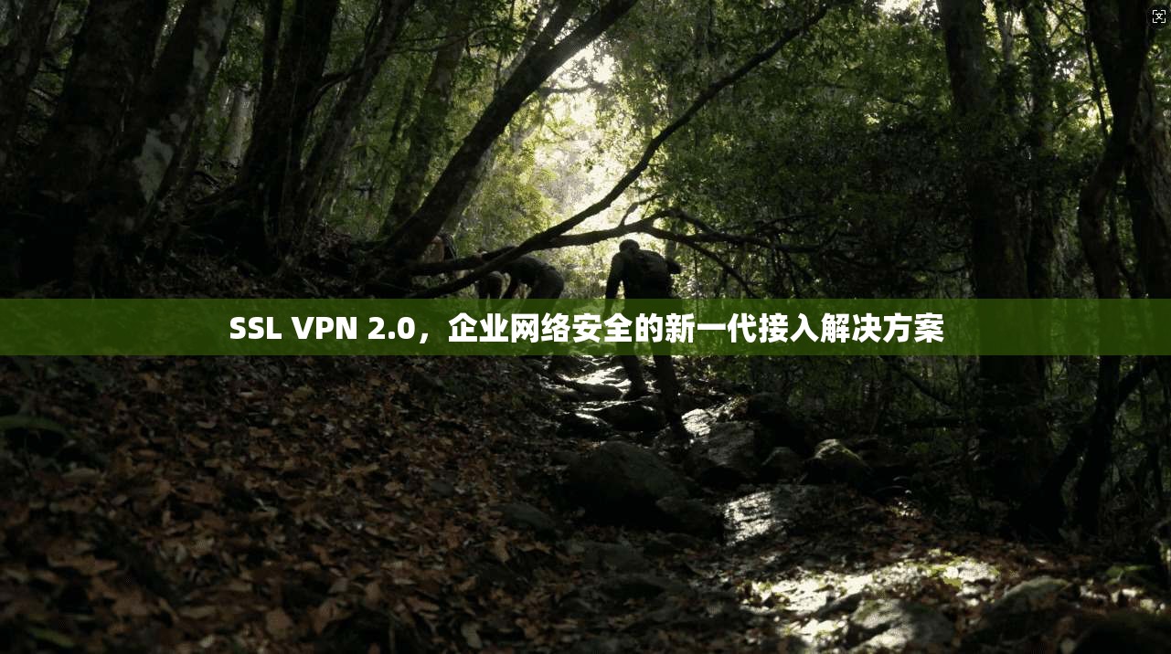 SSL VPN 2.0，企业网络安全的新一代接入解决方案