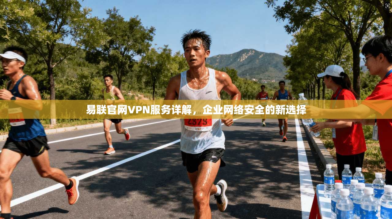 易联官网VPN服务详解，企业网络安全的新选择
