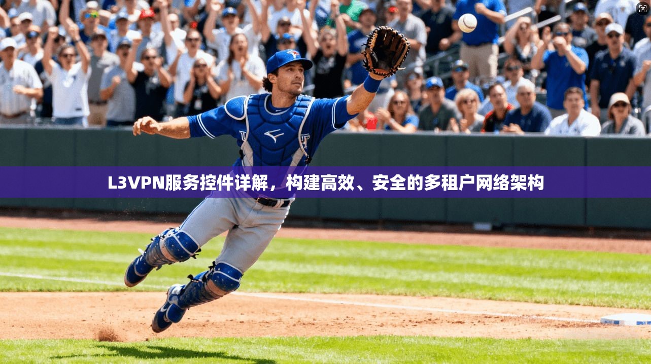 L3VPN服务控件详解，构建高效、安全的多租户网络架构