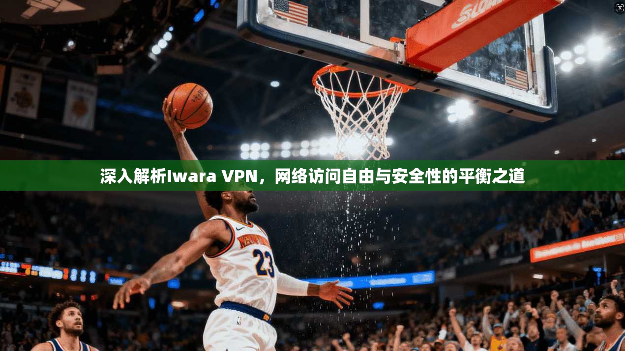 深入解析Iwara VPN，网络访问自由与安全性的平衡之道