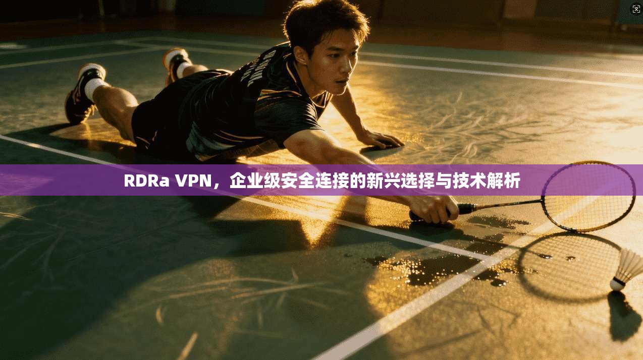 RDRa VPN，企业级安全连接的新兴选择与技术解析