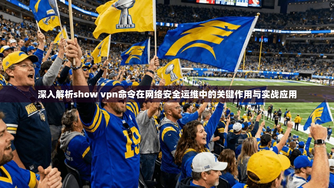 深入解析show vpn命令在网络安全运维中的关键作用与实战应用