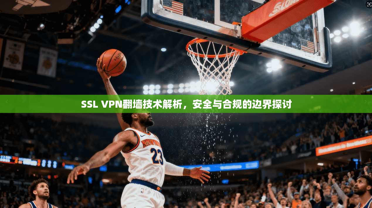 SSL VPN翻墙技术解析，安全与合规的边界探讨