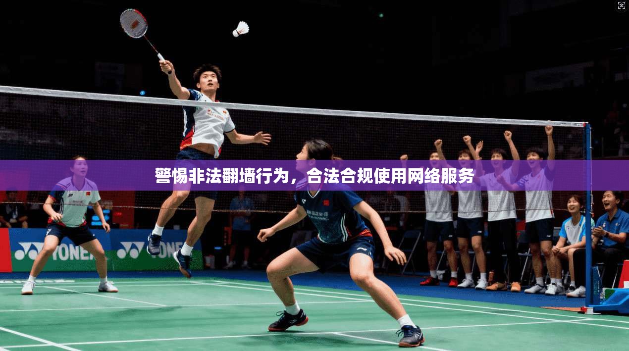 警惕非法翻墙行为，合法合规使用网络服务