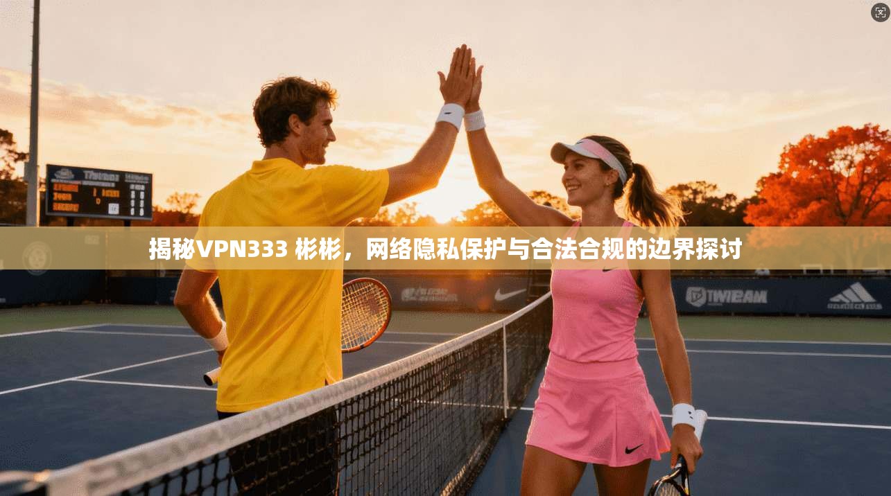 揭秘VPN333 彬彬，网络隐私保护与合法合规的边界探讨