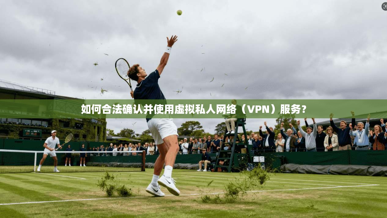 如何合法确认并使用虚拟私人网络（VPN）服务？
