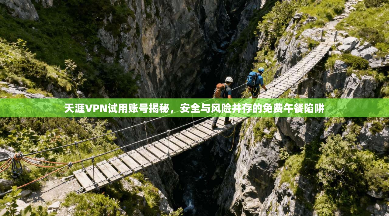 天涯VPN试用账号揭秘，安全与风险并存的免费午餐陷阱