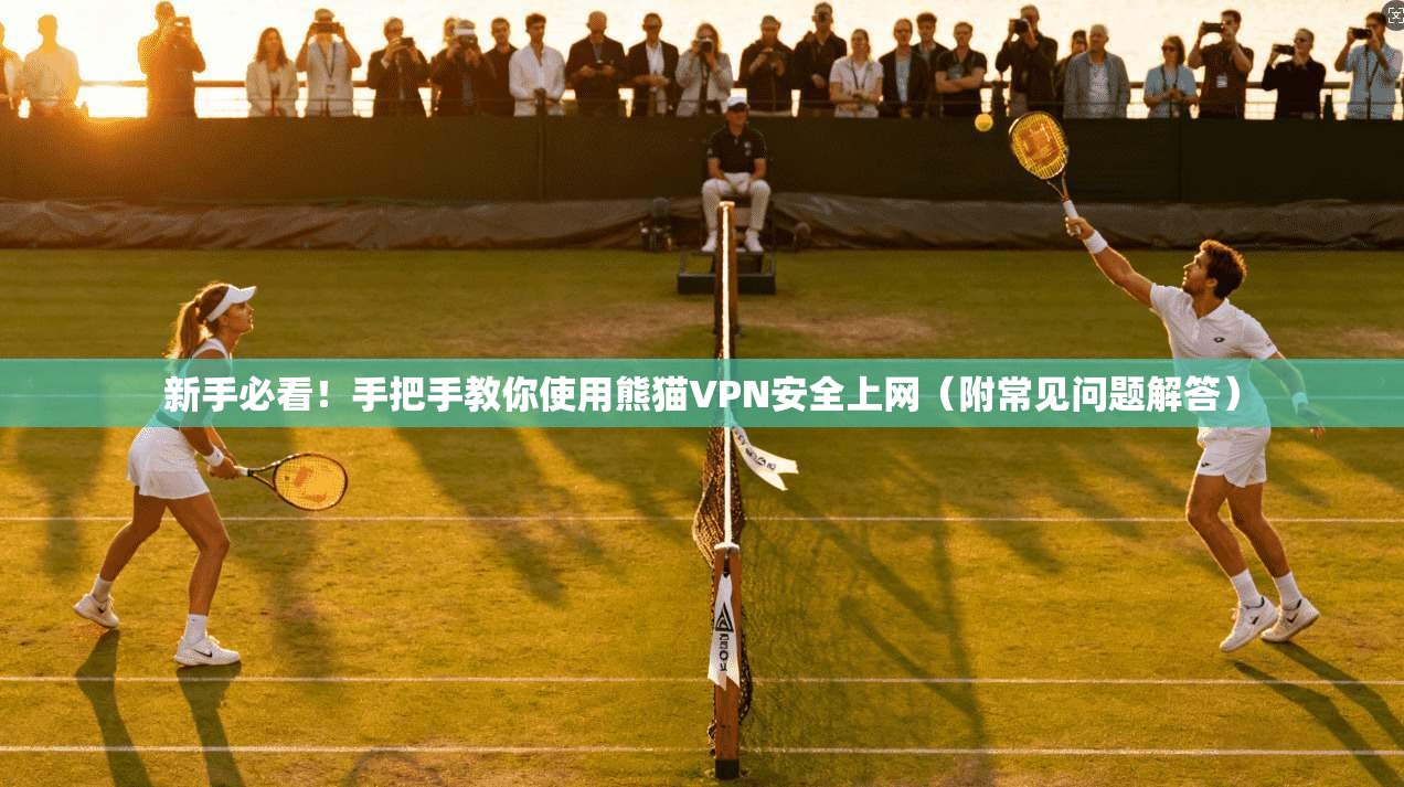 新手必看！手把手教你使用熊猫VPN安全上网（附常见问题解答）