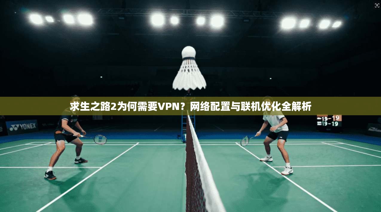 求生之路2为何需要VPN？网络配置与联机优化全解析