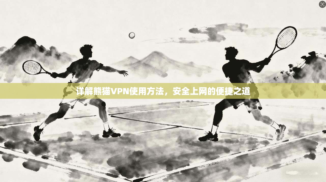 详解熊猫VPN使用方法，安全上网的便捷之道