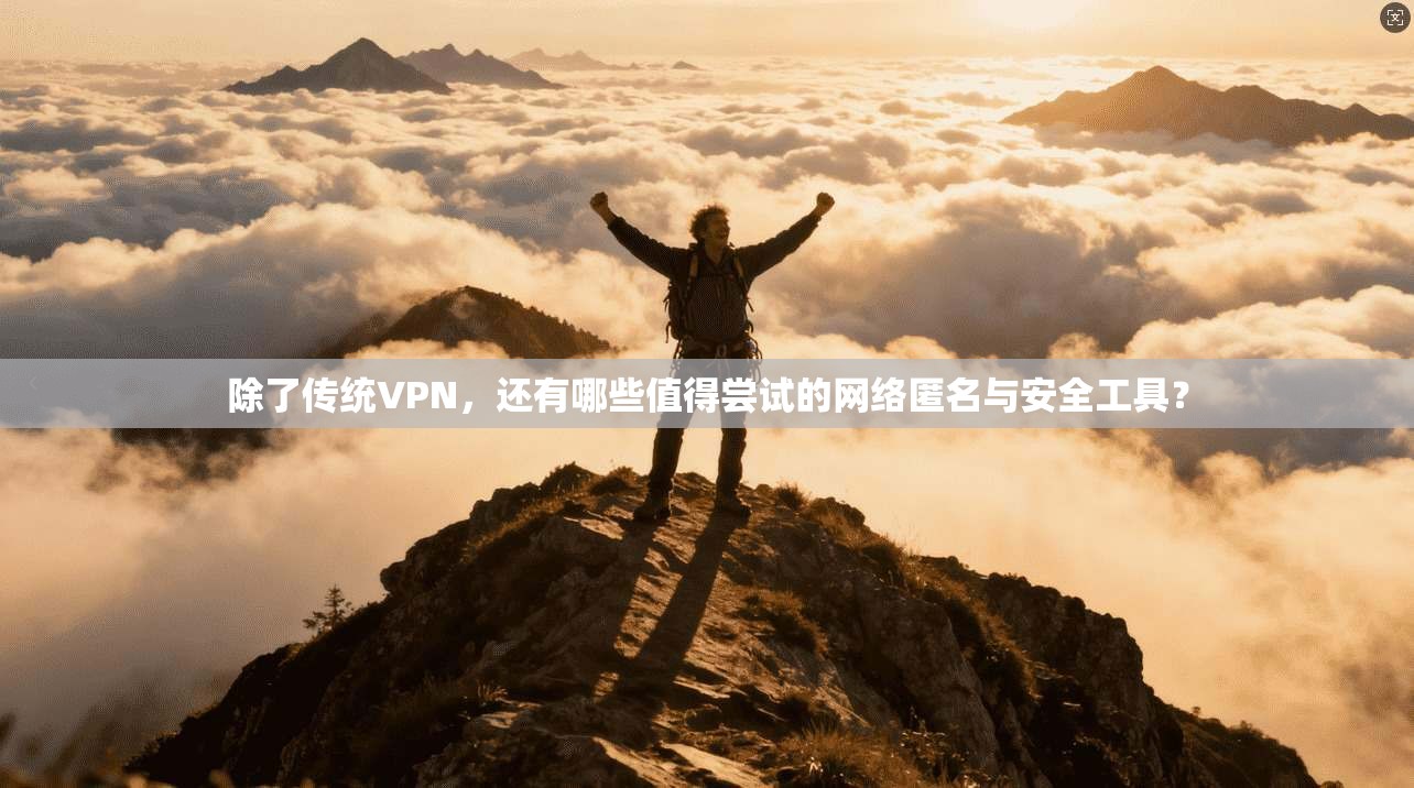 除了传统VPN，还有哪些值得尝试的网络匿名与安全工具？