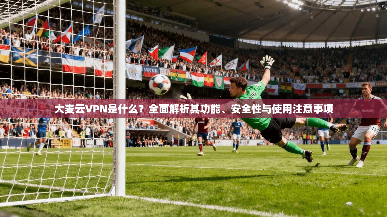 大麦云VPN是什么？全面解析其功能、安全性与使用注意事项
