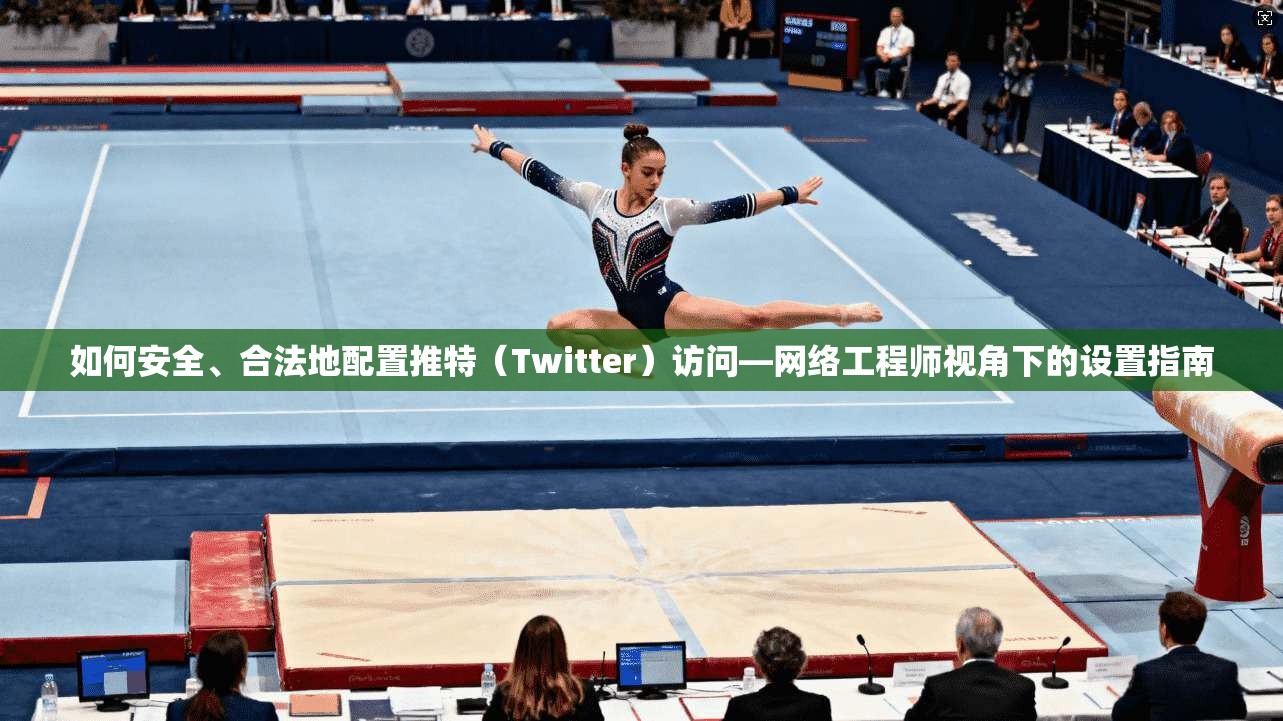如何安全、合法地配置推特（Twitter）访问—网络工程师视角下的设置指南