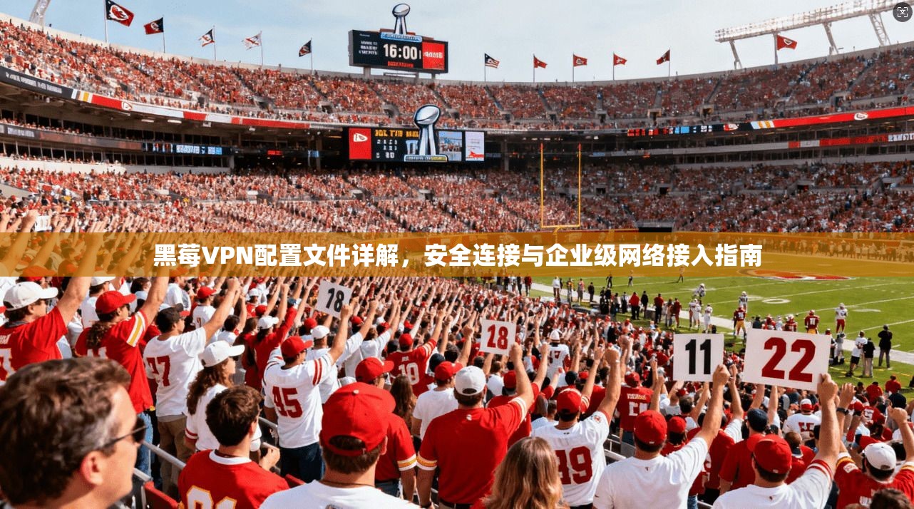 黑莓VPN配置文件详解，安全连接与企业级网络接入指南