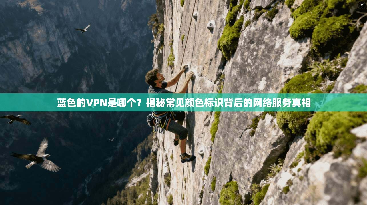 蓝色的VPN是哪个？揭秘常见颜色标识背后的网络服务真相