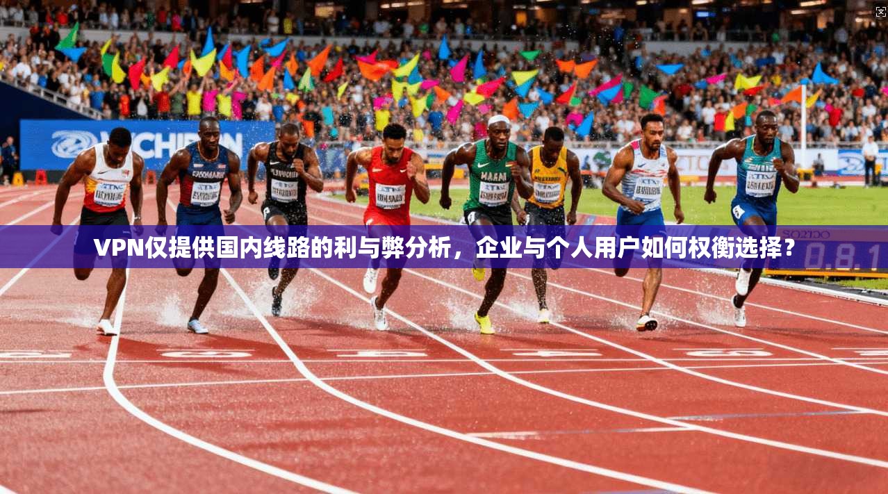 VPN仅提供国内线路的利与弊分析，企业与个人用户如何权衡选择？