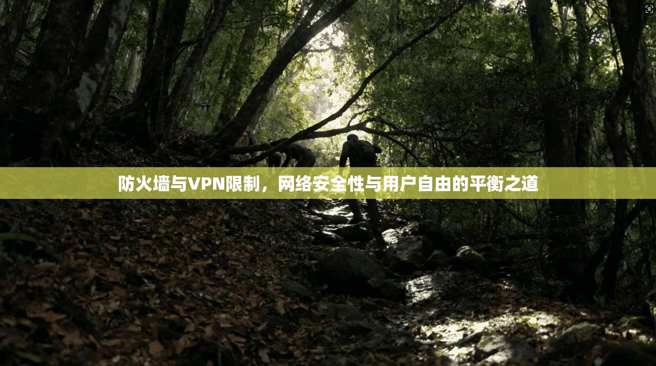 防火墙与VPN限制，网络安全性与用户自由的平衡之道