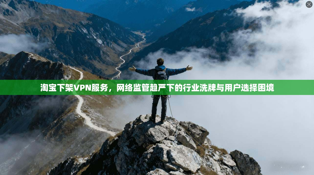 淘宝下架VPN服务，网络监管趋严下的行业洗牌与用户选择困境