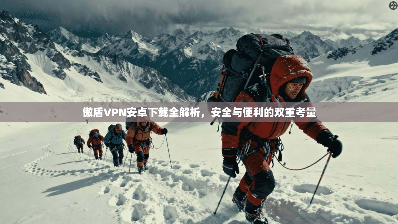 傲盾VPN安卓下载全解析，安全与便利的双重考量