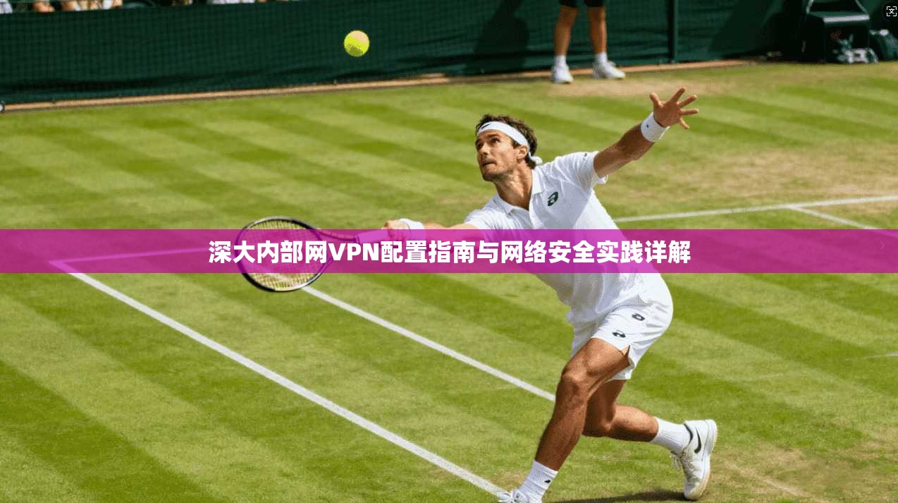 深大内部网VPN配置指南与网络安全实践详解