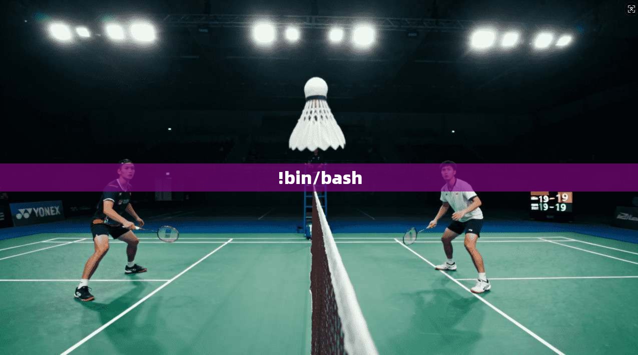 !bin/bash