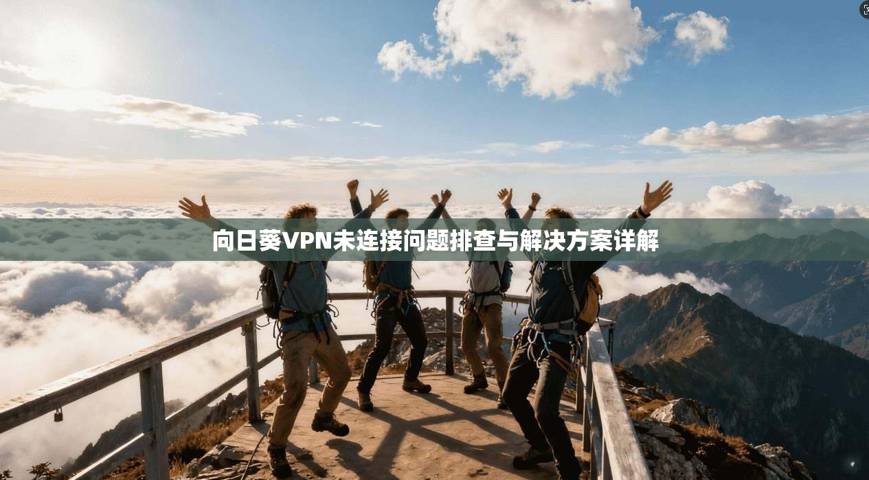 向日葵VPN未连接问题排查与解决方案详解