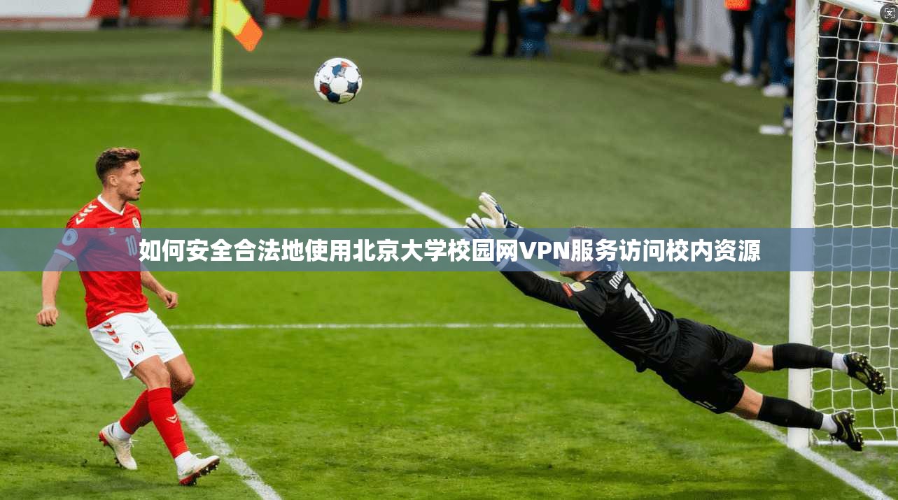 如何安全合法地使用北京大学校园网VPN服务访问校内资源
